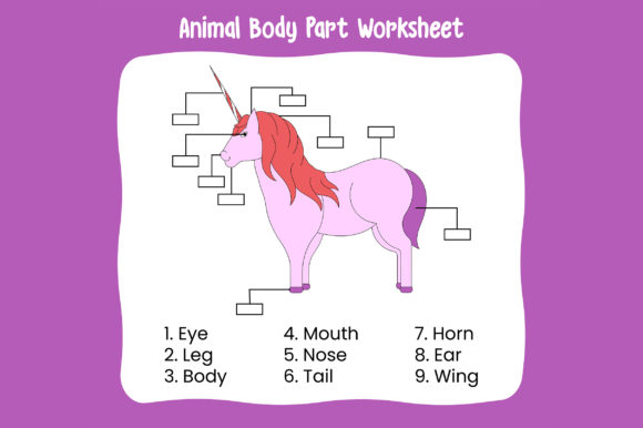 Download Animal Body Part Worksheet - Art Collection